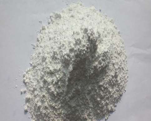 ̼���}�Ļ��W���|��B